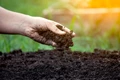 90 % of Earth’s Topsoil at Risk by 2050: FAO