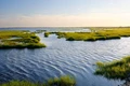 Global Warming: Don't Rely Solely on Regrowing Coastal Habitats to Reduce Carbon Emissions