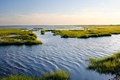 Global Warming: Don't Rely Solely on Regrowing Coastal Habitats to Reduce Carbon Emissions