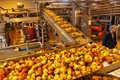 India’s Food Processing Industry Could Reach USD 530 Billion by FY27: Report