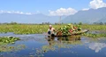 J&K Administration Approves Integrated Management Plan for Wular Lake Conservation