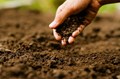We Need to Change Our Perception About Soil!