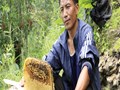 NABARD Organizes Training Programme for Beekeepers
