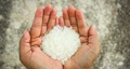FCI to Purchase 8 lakh tonnes of Fortified Parboiled Rice from Telangana