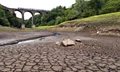 Drought in Europe Dries Up Rivers, Kills Fish & Causes Crops to Shrivel