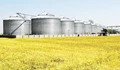 Government Working to Modernize India's Foodgrain Storage Infrastructure