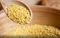 ICAR-IIMR Sets up Millet-Processing Unit for Farmers, FPOs