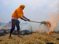 Punjab Government to Provide Stubble Burning Machines to Farmers