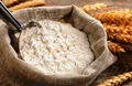 Government Approves Export Policy for Wheat Flour
