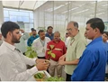 Dr. Abhilaksh Likhi, Additional Secy, Agri Ministry Visits CoE for Vegetables at Baramati, Pune