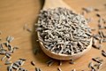 Cumin will break price records this year