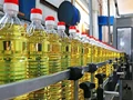 Edible Oil Prices Goes Up Due to Festival Demand