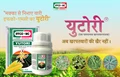IFFCO MC Introduces ‘Yutori’, the Best Weedicide for Maize Crop