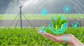 Top Agri Startups Dominating the Indian Market