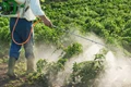 Govt Limits Use of Herbicide Glyphosate Due to Health Concerns