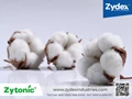Sustainable Cotton Bio-farming, New Technology Platform by Zydex Industries