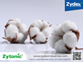 Sustainable Cotton Bio-farming, New Technology Platform by Zydex Industries