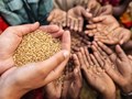 COP 27: Farmer Organizations Write Open Letter to World Leaders, Warns of Food Security
