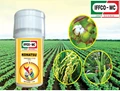 IFFCO’s Konatsu: A Crop-Friendly Broad-Spectrum Insecticide
