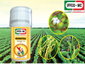 IFFCO’s Konatsu: A Crop-Friendly Broad-Spectrum Insecticide