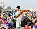 Farmers to Observe Nov 19 as Fateh Diwas to Celebrate Repeal of Farm Laws