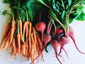 Carrot vs Beetroot: Know Which One is Best in Terms of Nutrition, Skin & Health