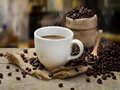 India’s Coffee Exports Hits New Milestones, Reaches Rs. 3,312 Crores in Apr-Sep 2022