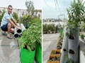 This UP Man Grows Organic Veggies in PVC Pipes to Save Space & Money
