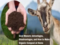 Goat Manure: Advantages, Disadvantages, and How to Make Organic Compost at Home