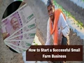 How to Start a Successful Small Farm Business