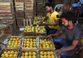 South-East African Alphonso Mangoes Enter APMC Market in Navi Mumbai