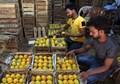 South-East African Alphonso Mangoes Enter APMC Market in Navi Mumbai