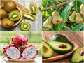 A Complete Guide on How to Grow Exotic Fruits