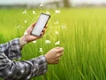 ICRISAT Launches Chess-Inspired App to Educate Farmers on Soil Conservation and Climate-Smart Practices