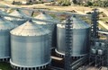 Food Security: India Plans World’s Largest Grain Storage Scheme