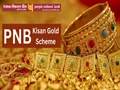 PNB Kisan Gold Scheme: Get Loans up to 50 Lakh for Housing, Marriage, and Education