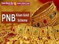 PNB Kisan Gold Scheme: Get Loans up to 50 Lakh for Housing, Marriage, and Education