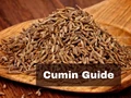 How to Cultivate Cumin (Jeera): A Beginner Guide