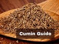 How to Cultivate Cumin (Jeera): A Beginner Guide