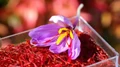Jammu & Kashmir: Researchers Modernizing Saffron Cultivation to Improve Yield