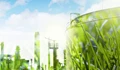IISc Researchers Develop an Innovative Technology to Generate Hydrogen from Biomass