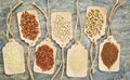 Understand Key Differences Between Cereals & Millets
