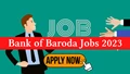Bank of Baroda Recruitment 2023: Golden Opportunity for CA! Check Eligibility, Salary & Other Details