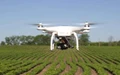 Drones for Crop Assessment Maharashtra to sign MoU with IISc