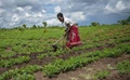 Tanzania Govt Announces Grant for Youth & Women working in Agriculture Sector