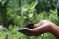 Organic Farming is Gaining Popularity in North East India!