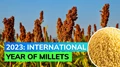 IYOM 2023: Steps Taken by Indian Government for Promoting Millet Production