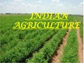 Indian Agriculture Gifted With Best Human Talent : Expert