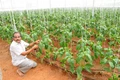 Integrated farming in five districts of tamil nadu