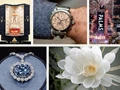 World’s Most Expensive: From Jewelry to Car to Flower